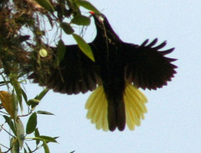 Foto: Jorge Huerta E.