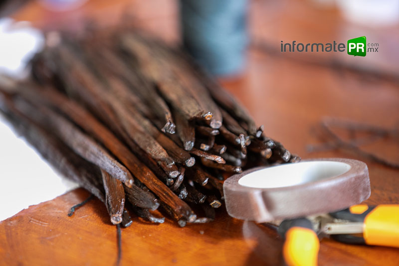 Presentan festival en el totonacapan (Foto: Jorge Huerta E.)